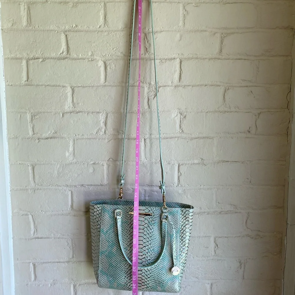 Brahmin new without